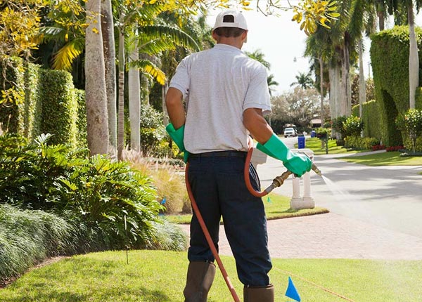 About Marvin SD Pest Control